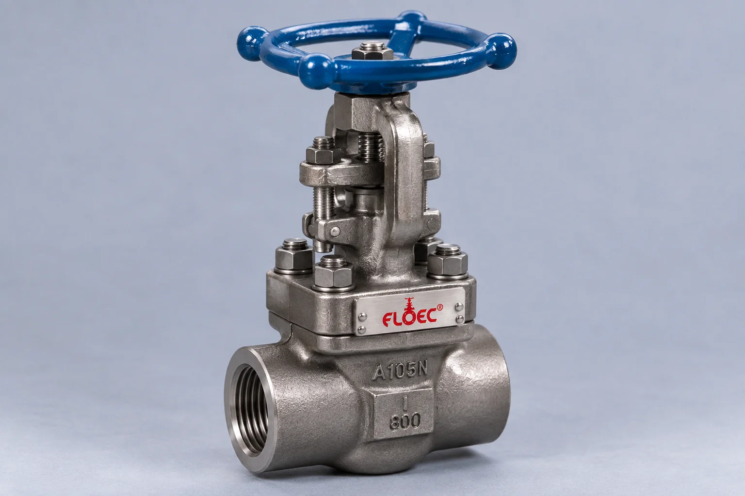 Forged Steel Gate / Globe / NRV Valve